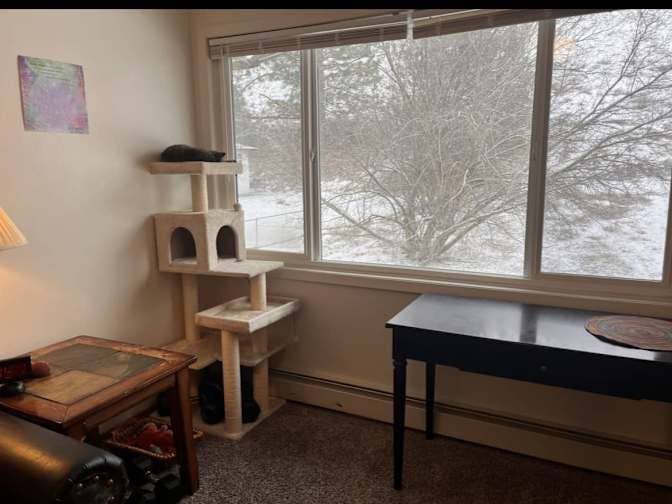 Missoula Room Available