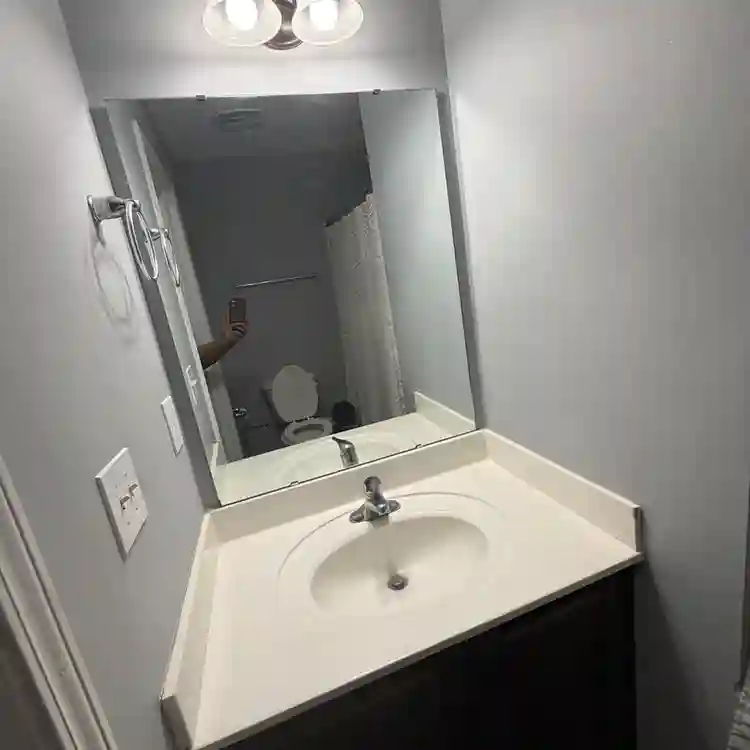 Looking for a Roommate