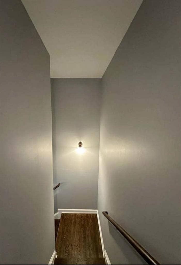 Looking for a Roommate