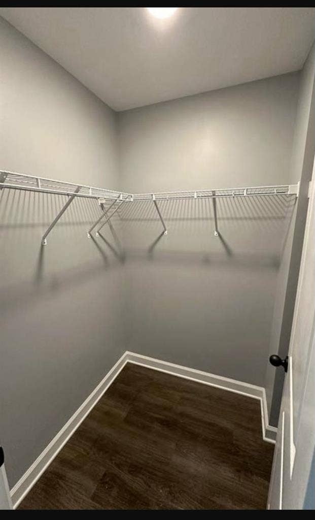 Looking for a Roommate