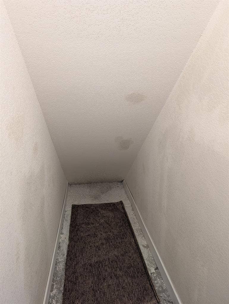 1000 sqft dedicated basement
