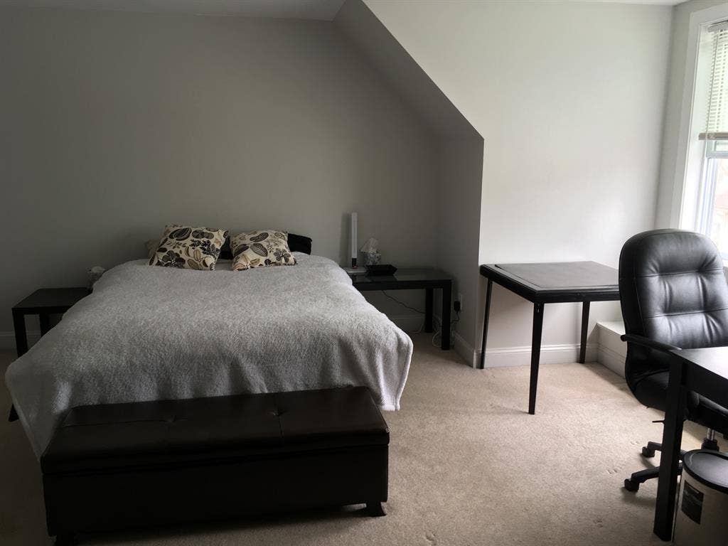 Lux Furnished Room for Young Pros
