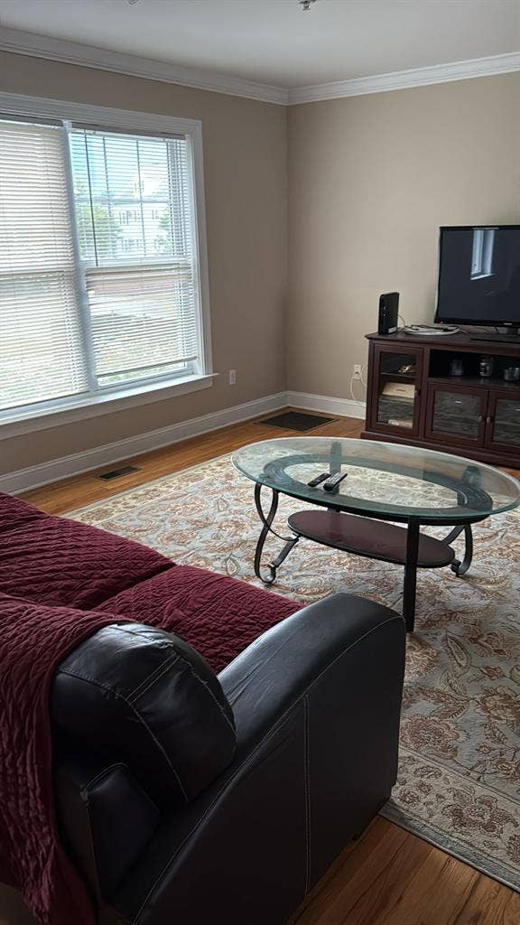 Lux Furnished Room for Young Pros