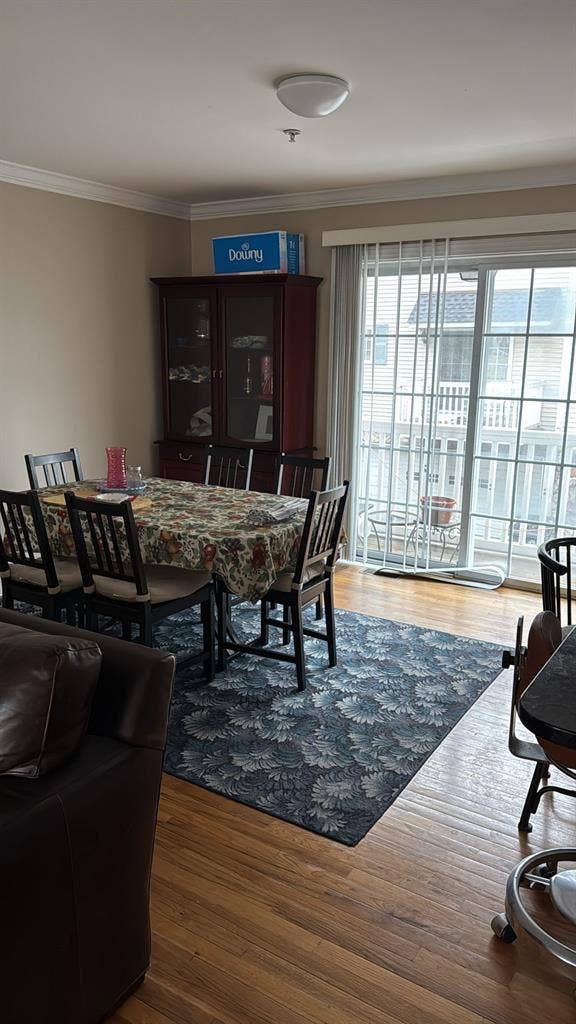 Lux Furnished Room for Young Pros