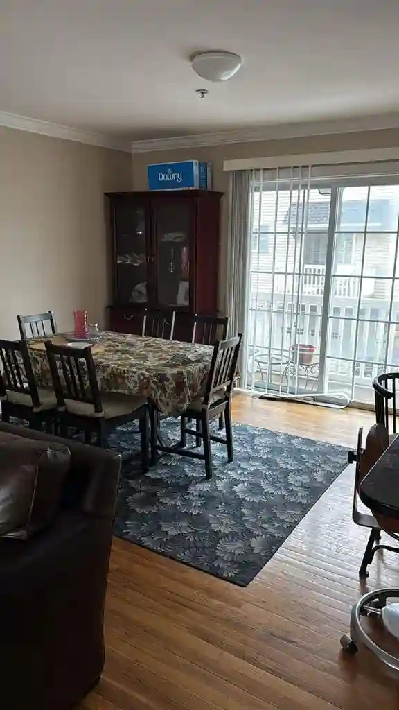 Lux Furnished Room for Young Pros