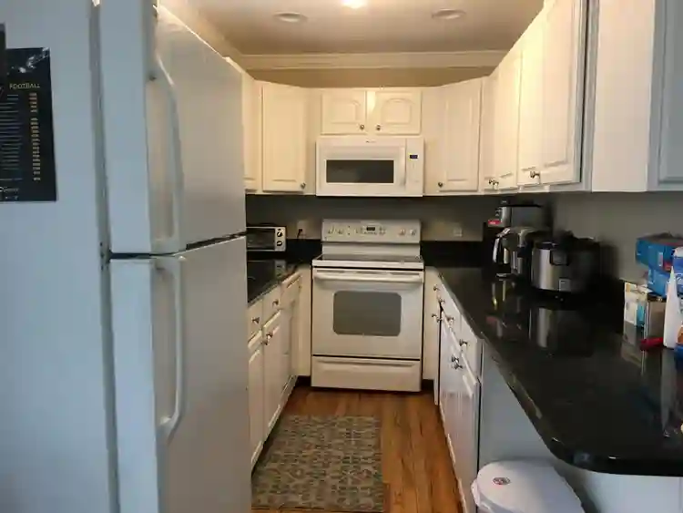 Lux Furnished Room for Young Pros