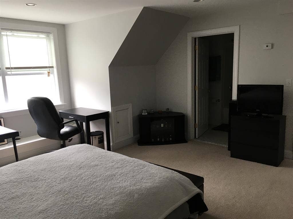 Lux Furnished Room for Young Pros