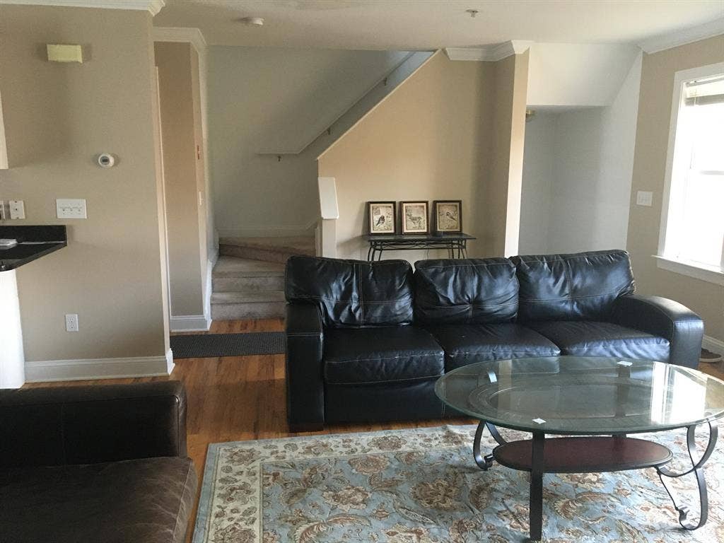 Lux Furnished Room for Young Pros
