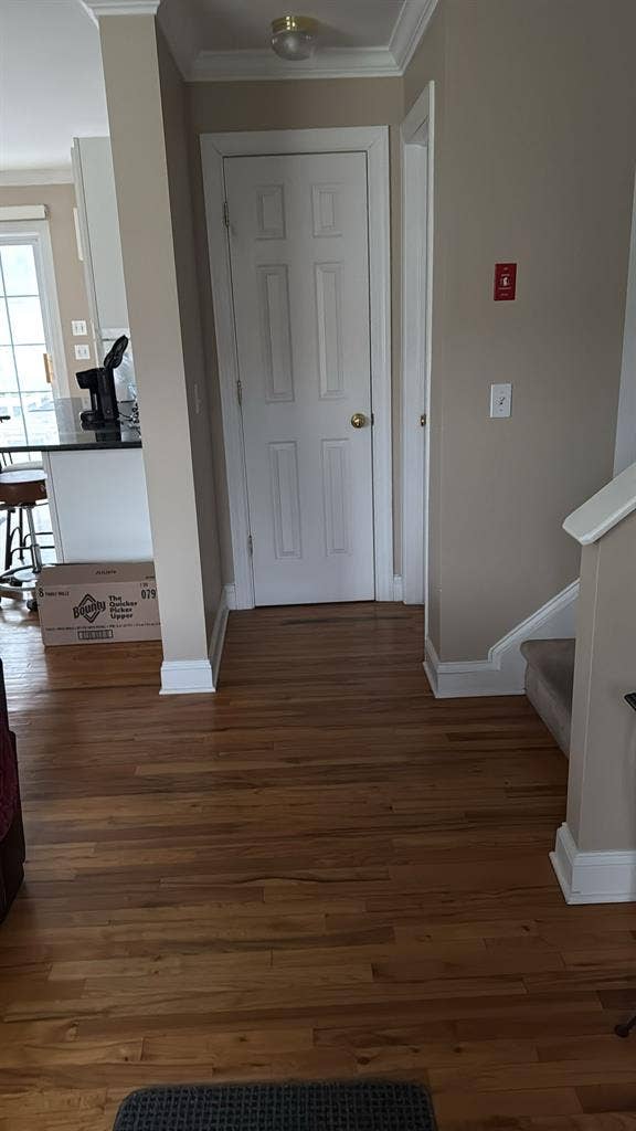 Lux Furnished Room for Young Pros