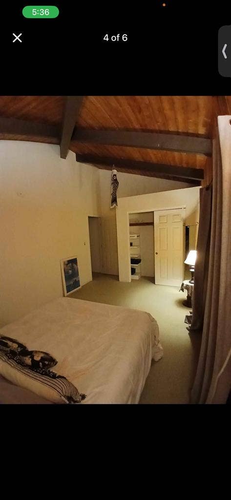 North Shore Room for Rent