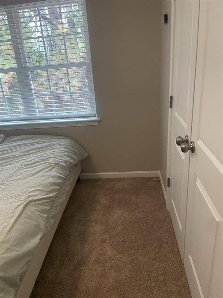 Female roommate needed