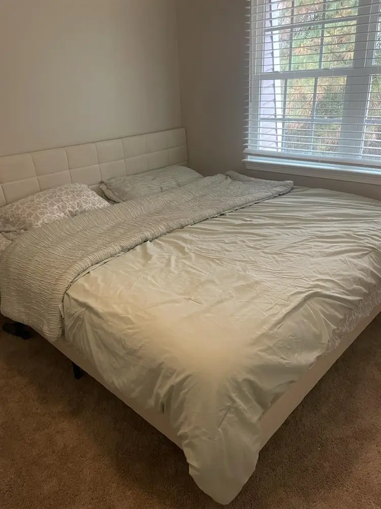 Female roommate needed