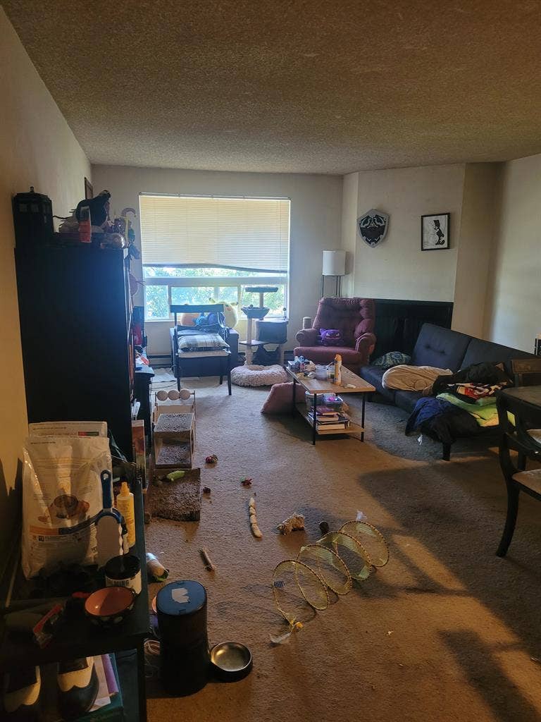 Looking for new roommate