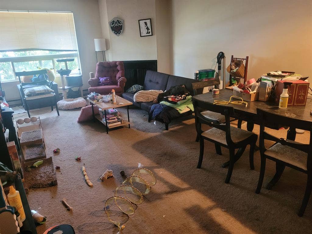 Looking for new roommate