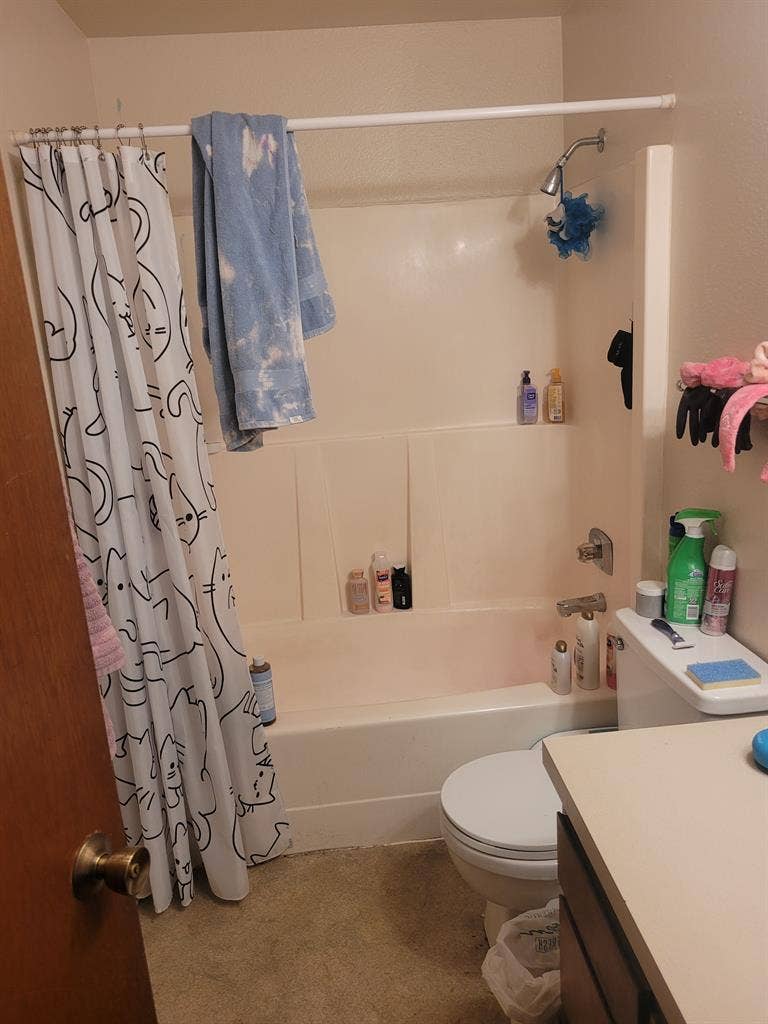 Looking for new roommate