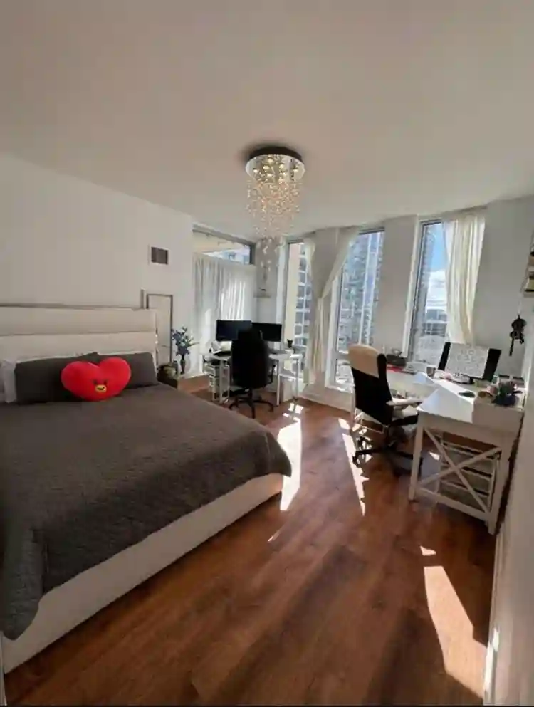 Searching for a roommate