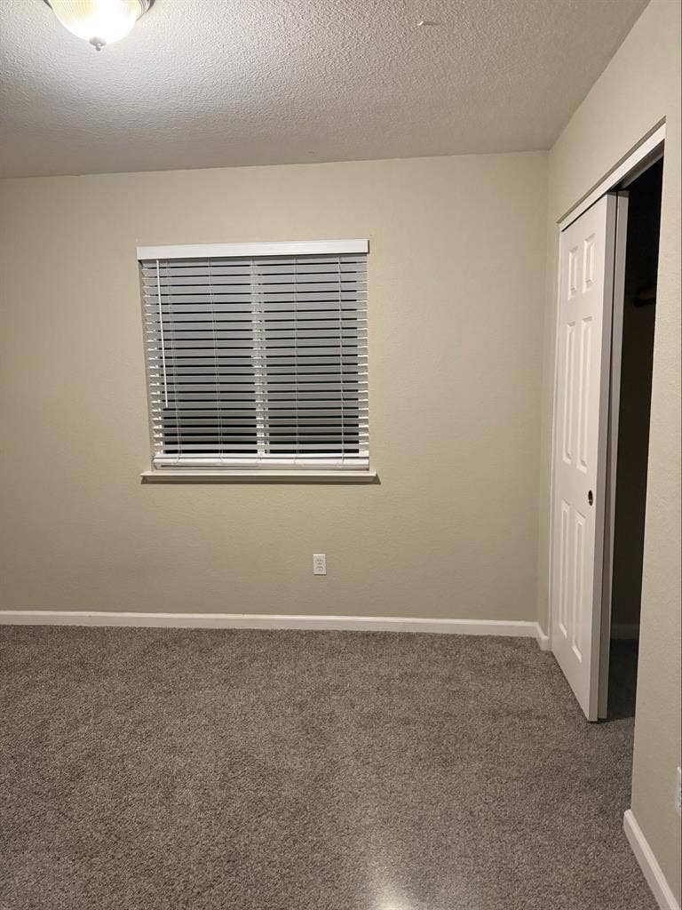 Room available in my family home