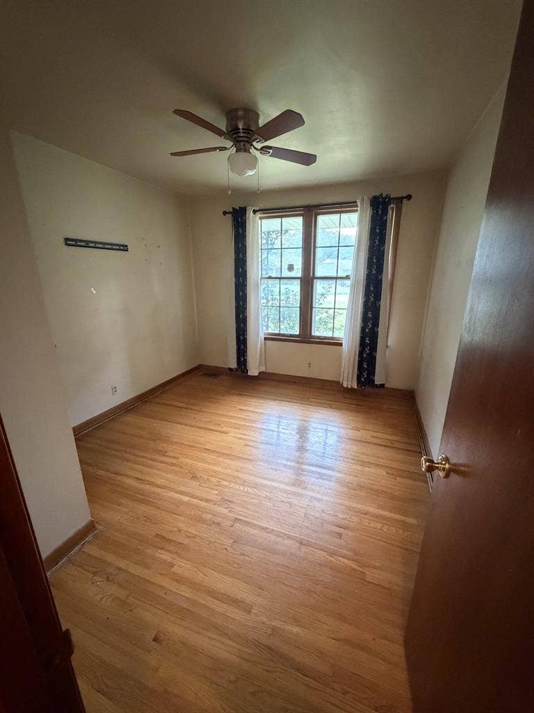 Looking for a roommate