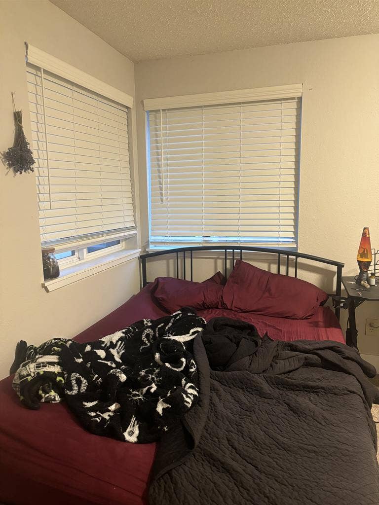 🌺 Looking for roommate 🐈⬛