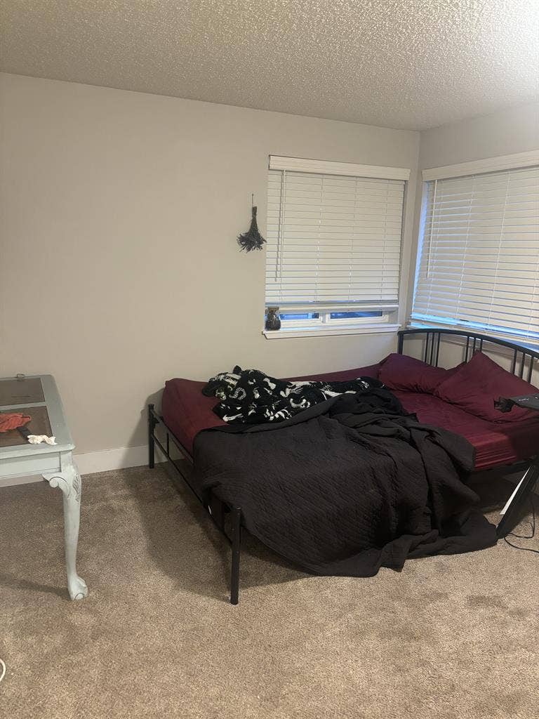 🌺 Looking for roommate 🐈⬛