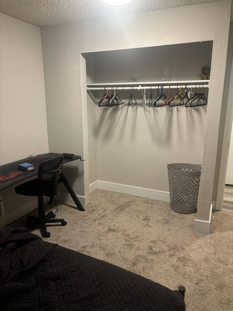 🌺 Looking for roommate 🐈⬛