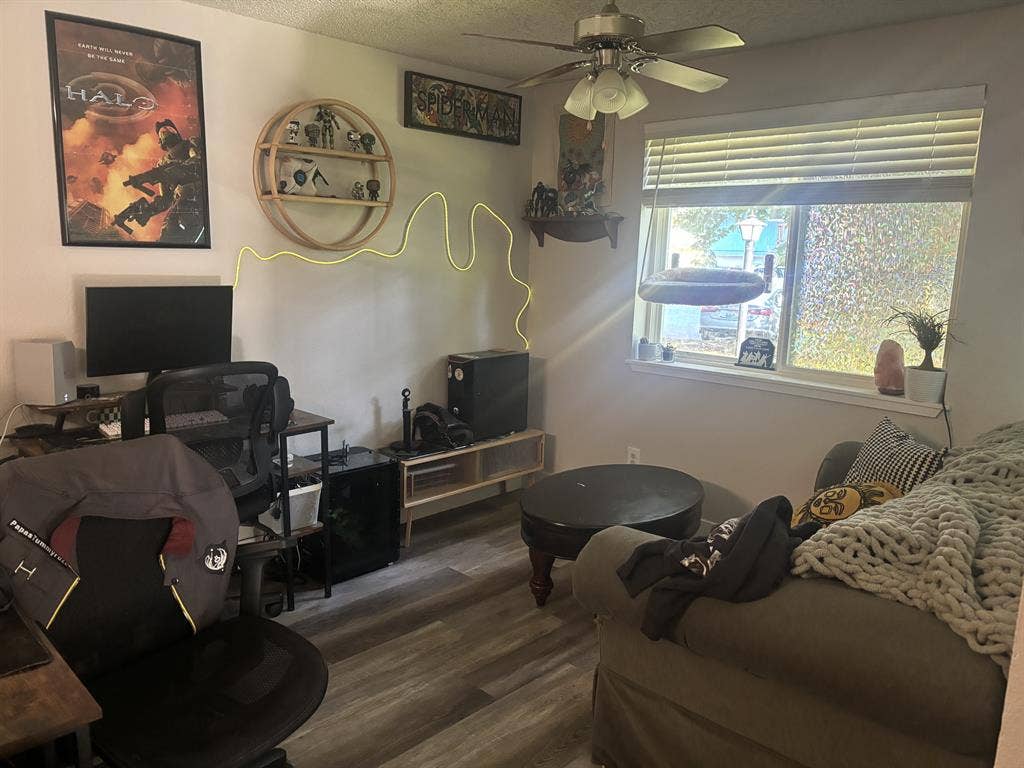 🌺 Looking for roommate 🐈⬛