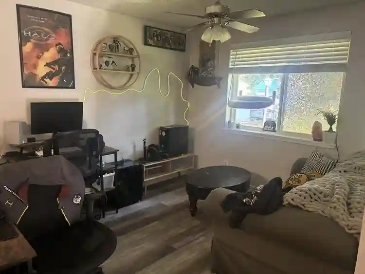 🌺 Looking for roommate 🐈⬛