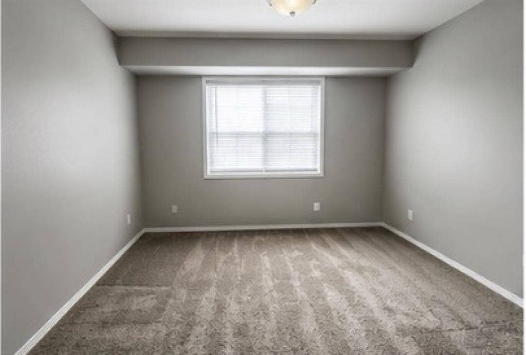 Looking for a roommate