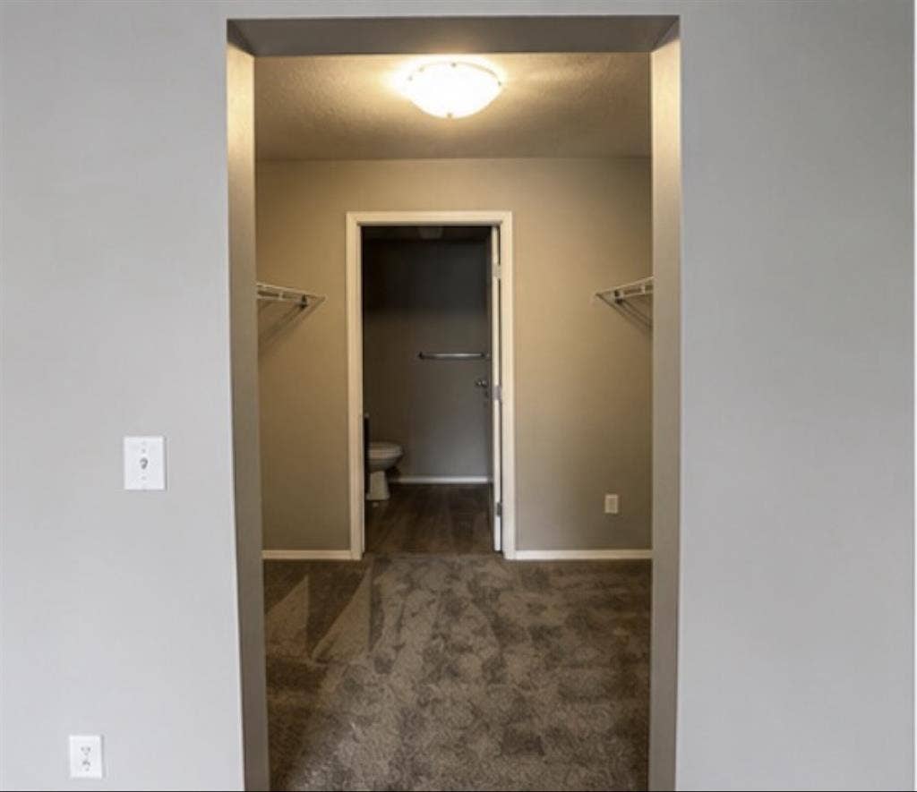 Looking for a roommate