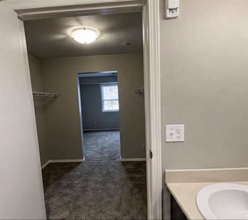 Looking for a roommate
