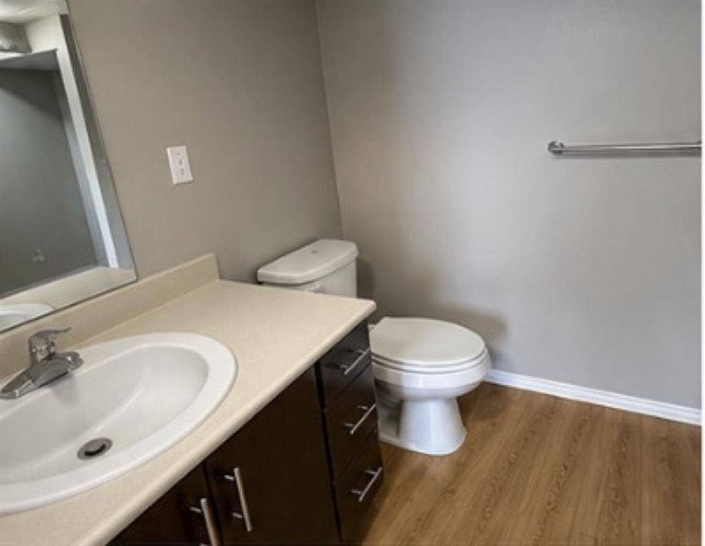 Looking for a roommate