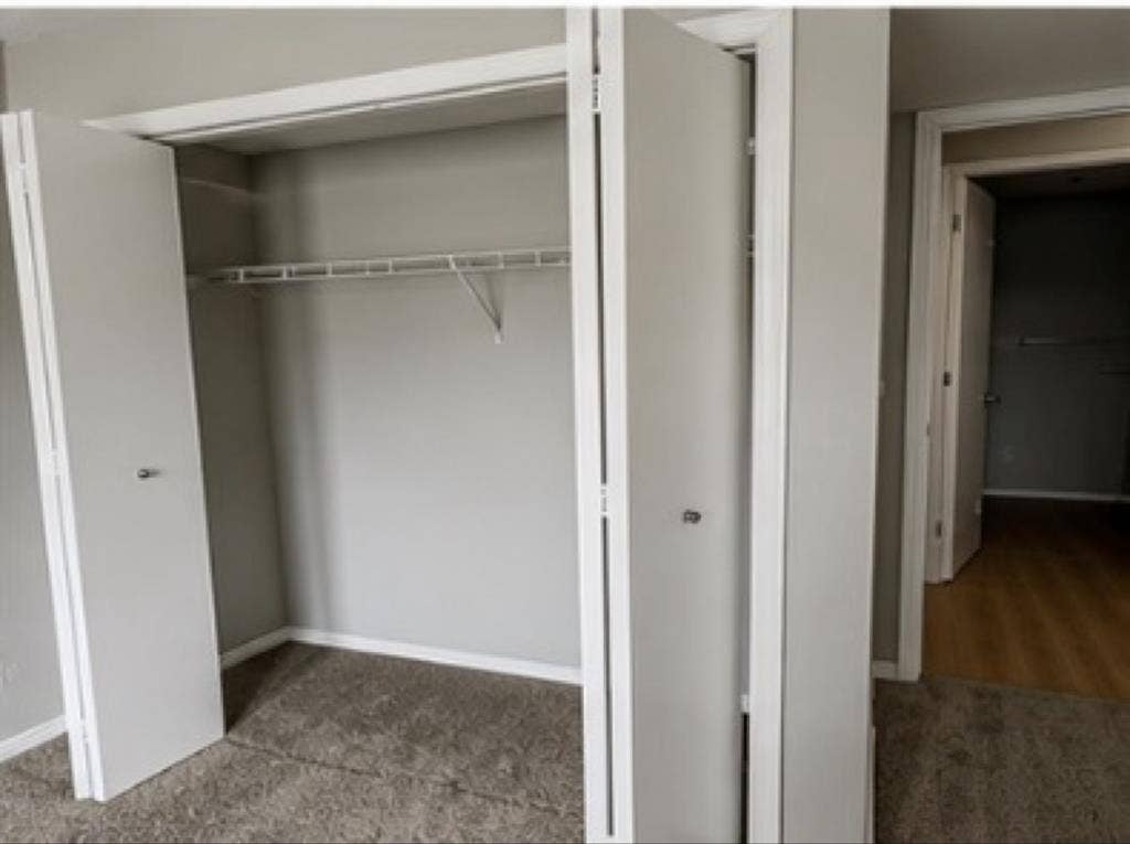 Looking for a roommate