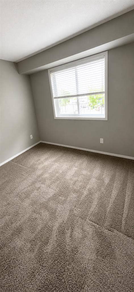 Looking for a roommate