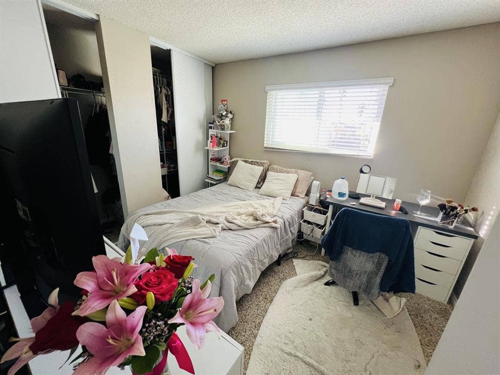 Looking for a female roommate in SD