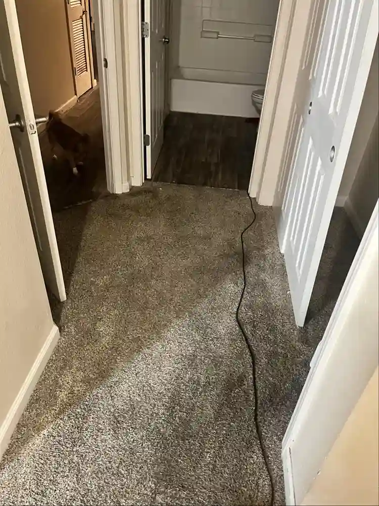 Large bedroom and bathroom for rent