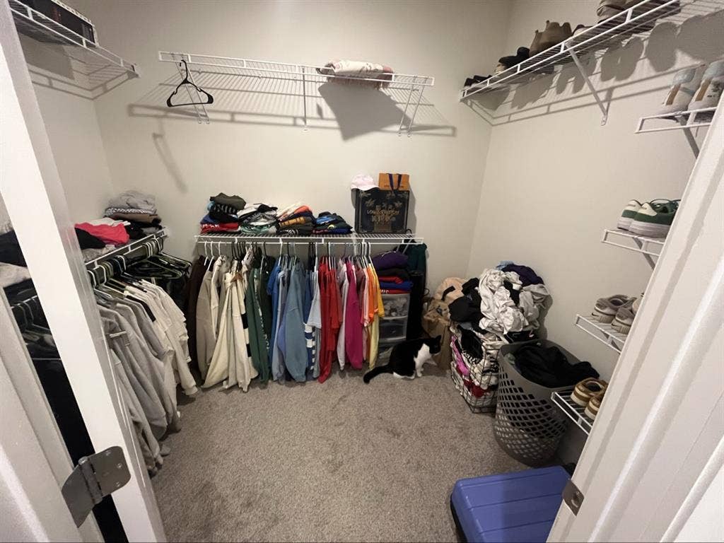 Looking for a roommate!