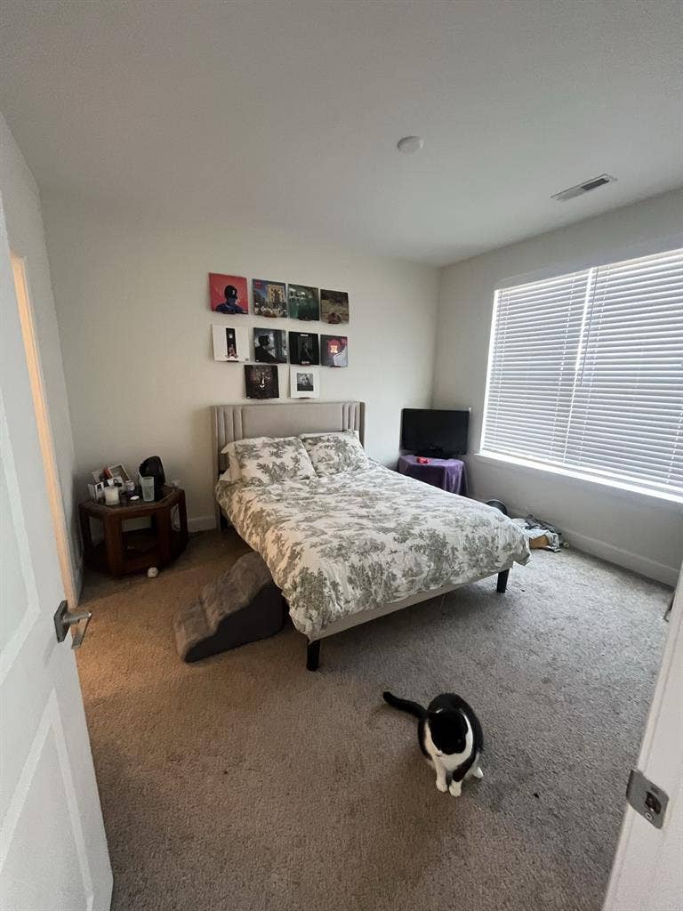 Looking for a roommate!