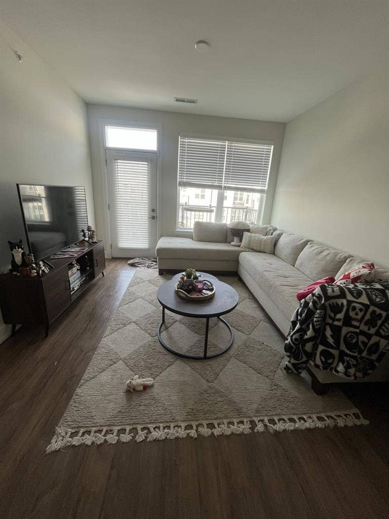 Looking for a roommate!