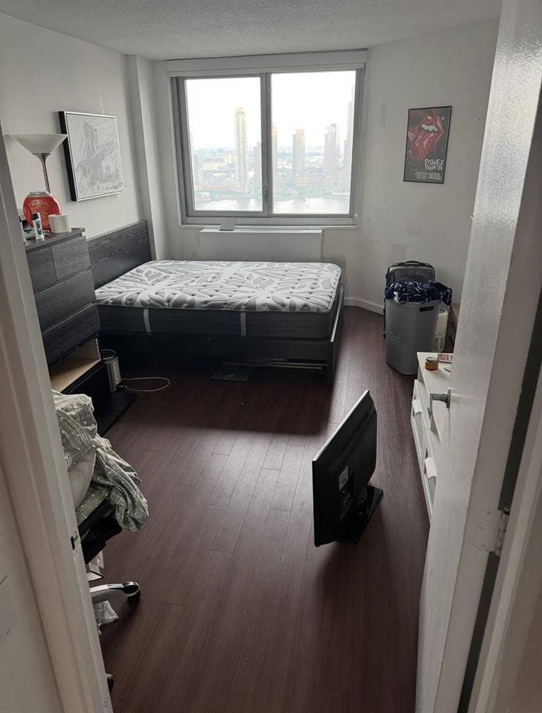 In Search of Roommate 