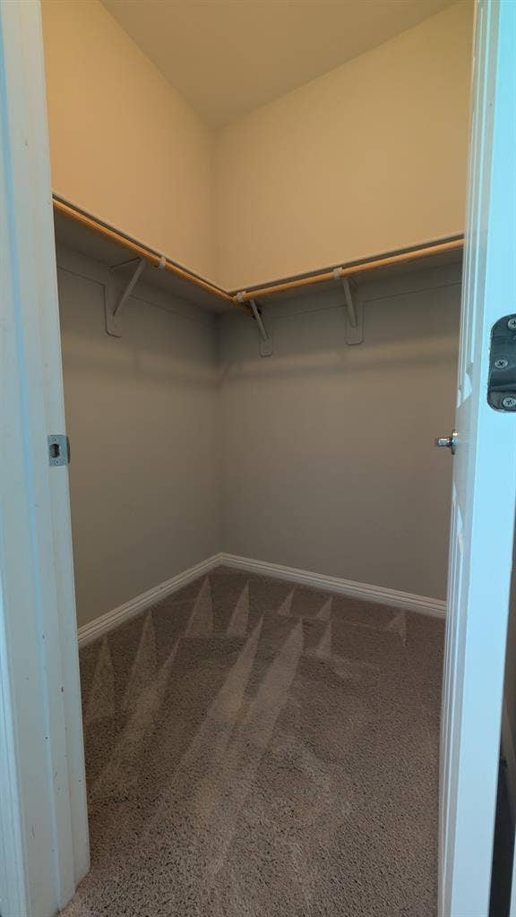 Room available for rent