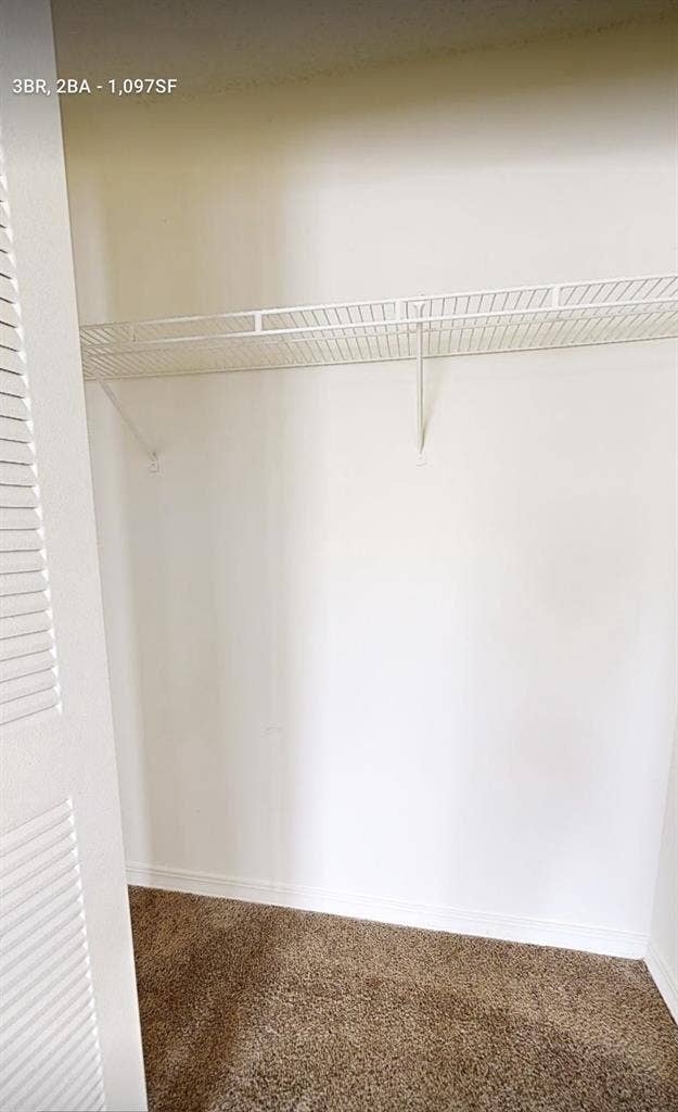 Private Room for Rent and Shower