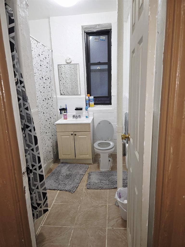 Looking for a roommate