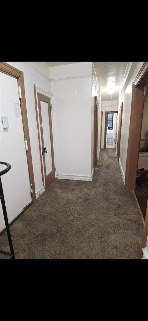 Looking for a roommate