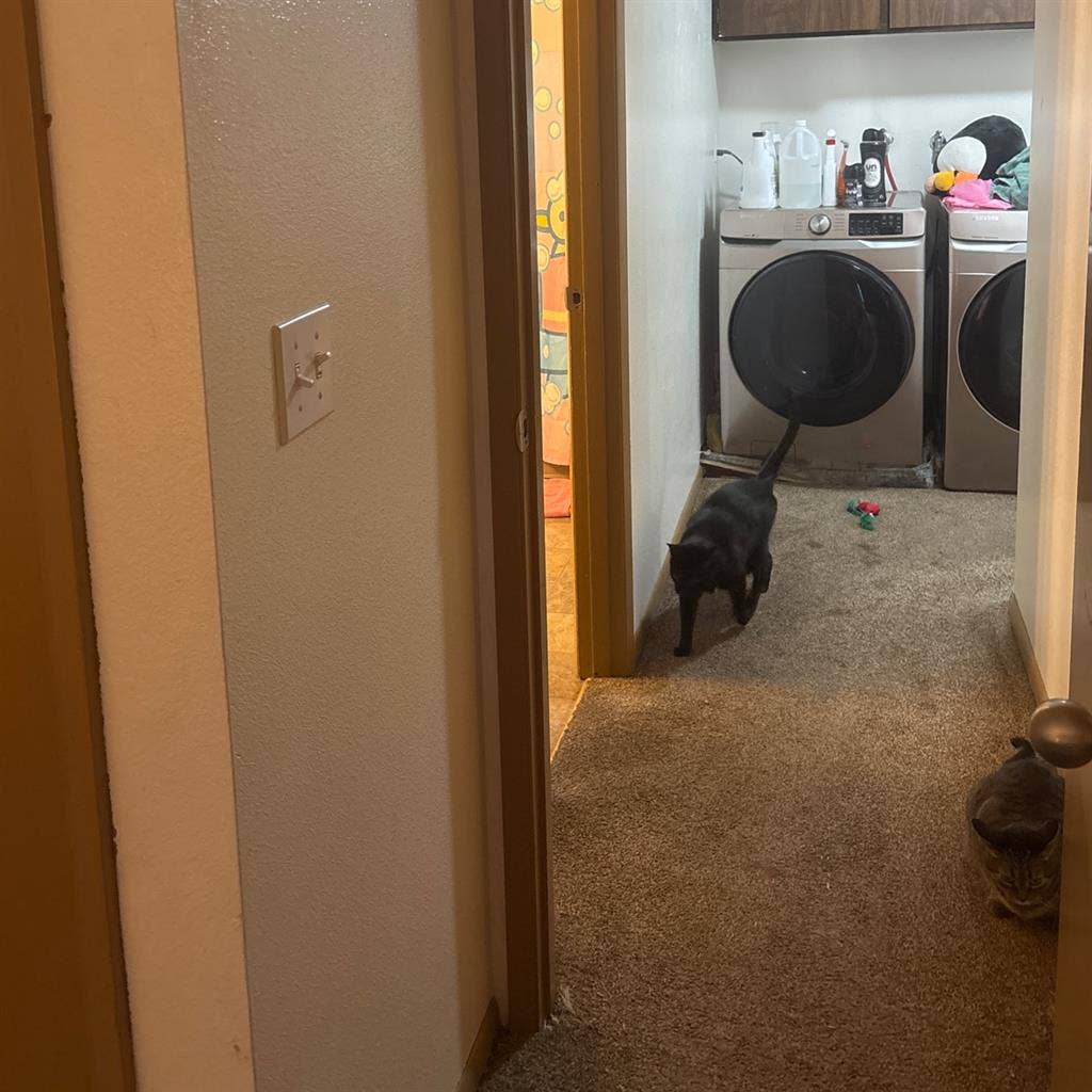 1 bedroom available