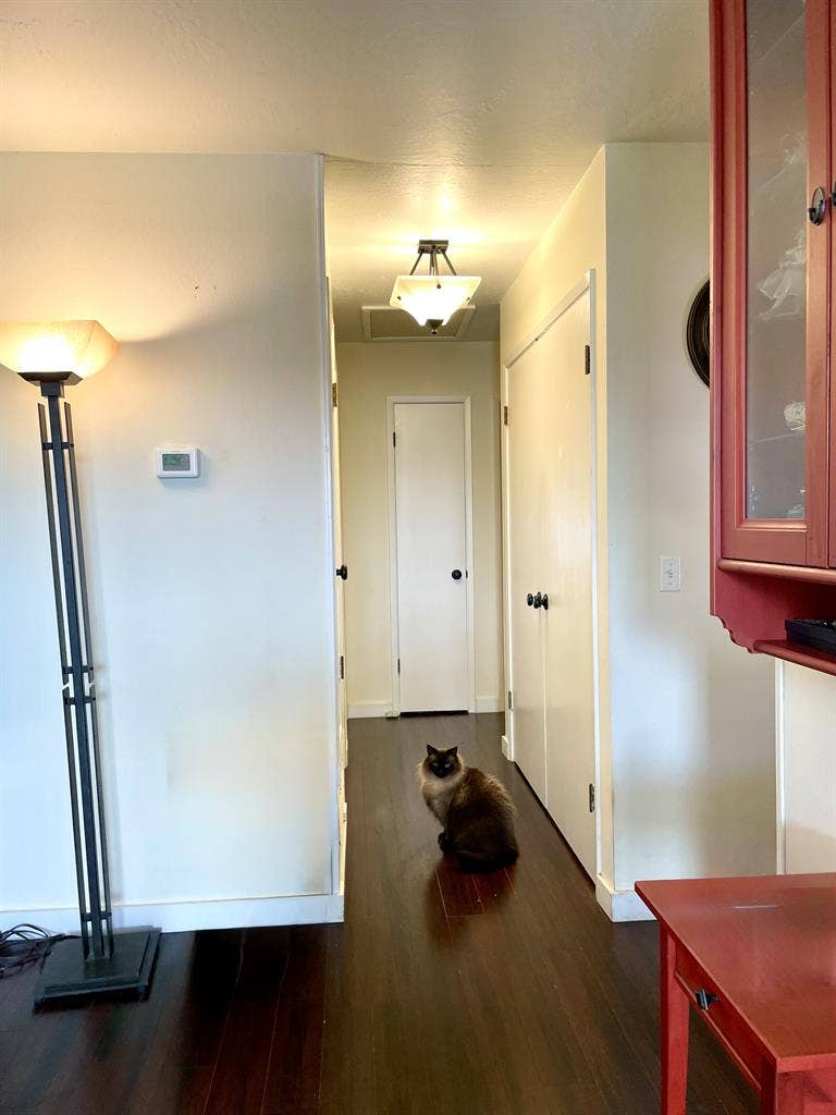 Cozy room in lovely townhouse!