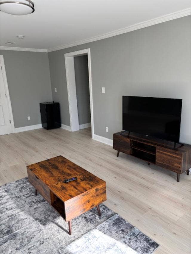 Fully Furnished Entire Basement