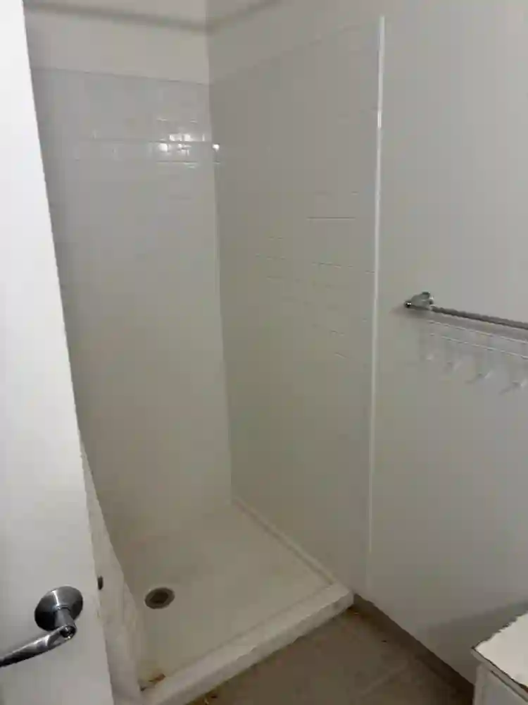 Looking For Roommate