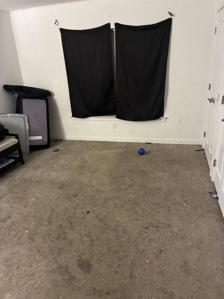 Looking For Roommate