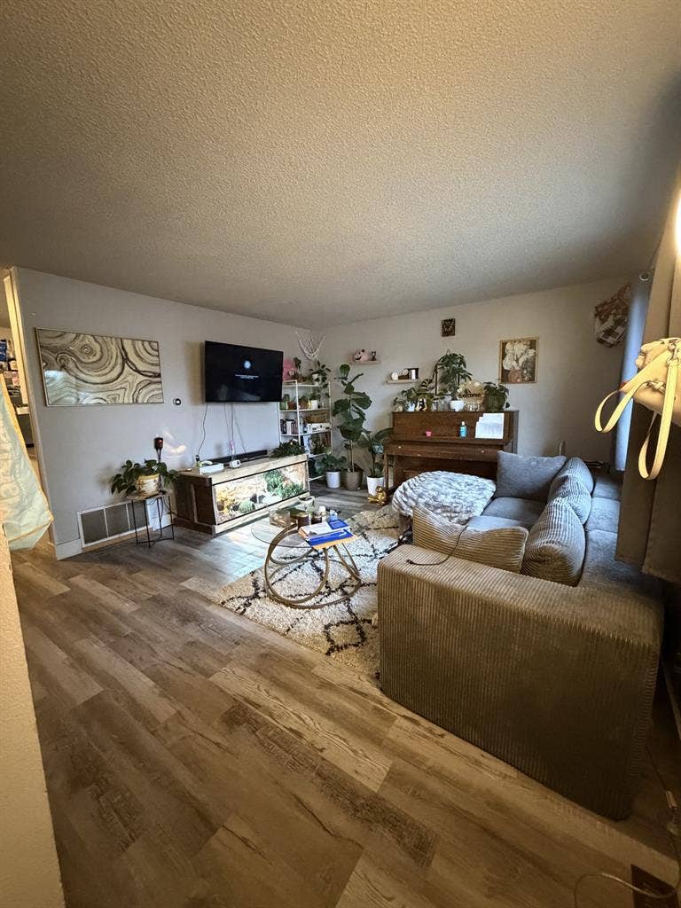 New Listing