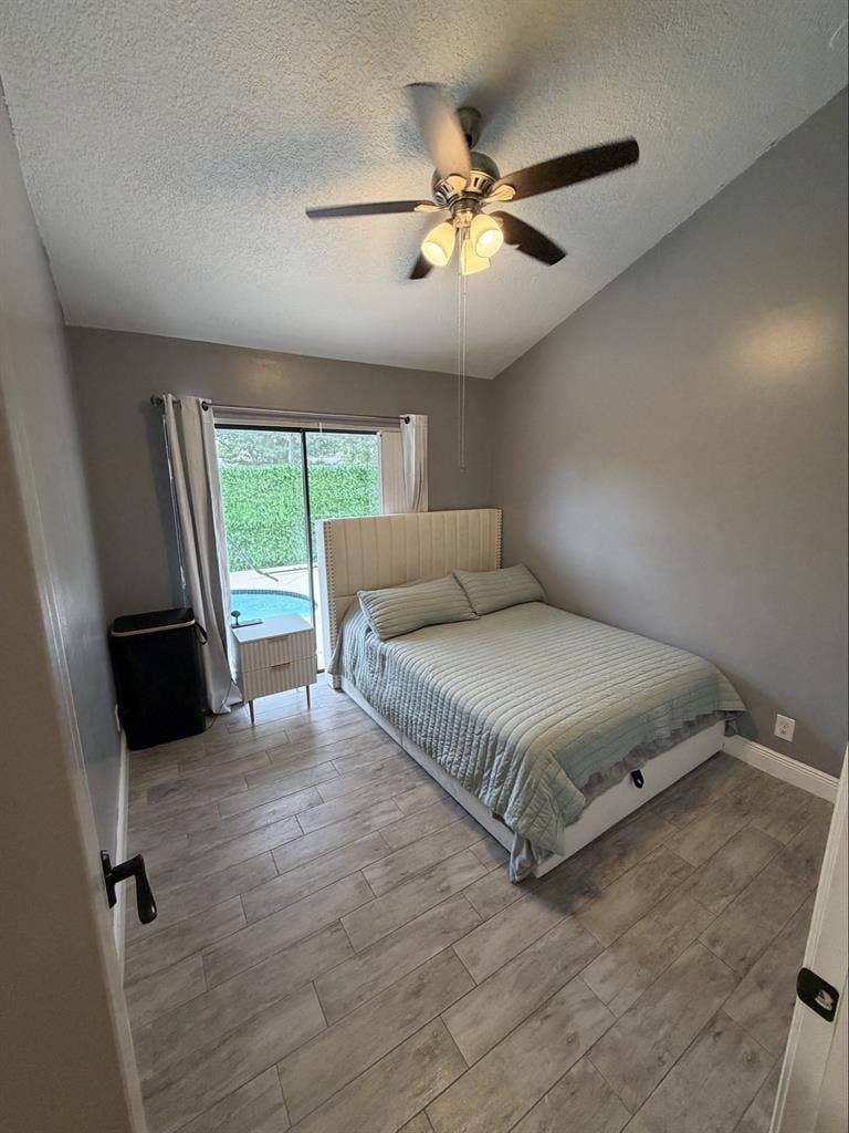 Looking for a roommate